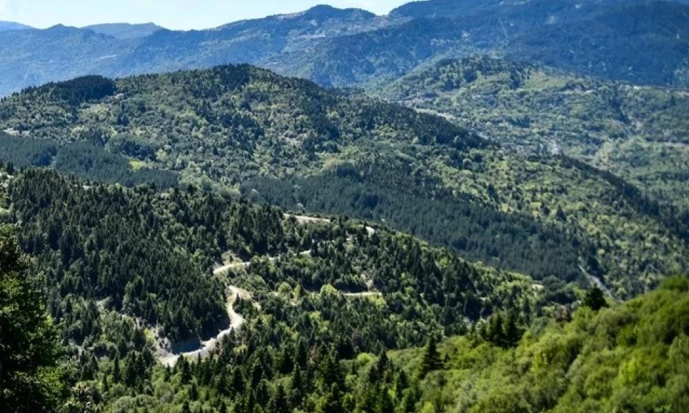 Πέλλα: Έψαχναν θησαυρό με φτυάρια - Έπεσαν πρόστιμα
